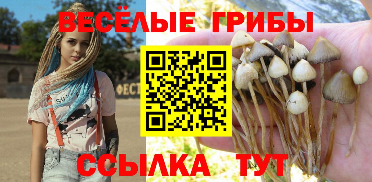 Галлюциногенные грибы Psilocybe Рассказово
