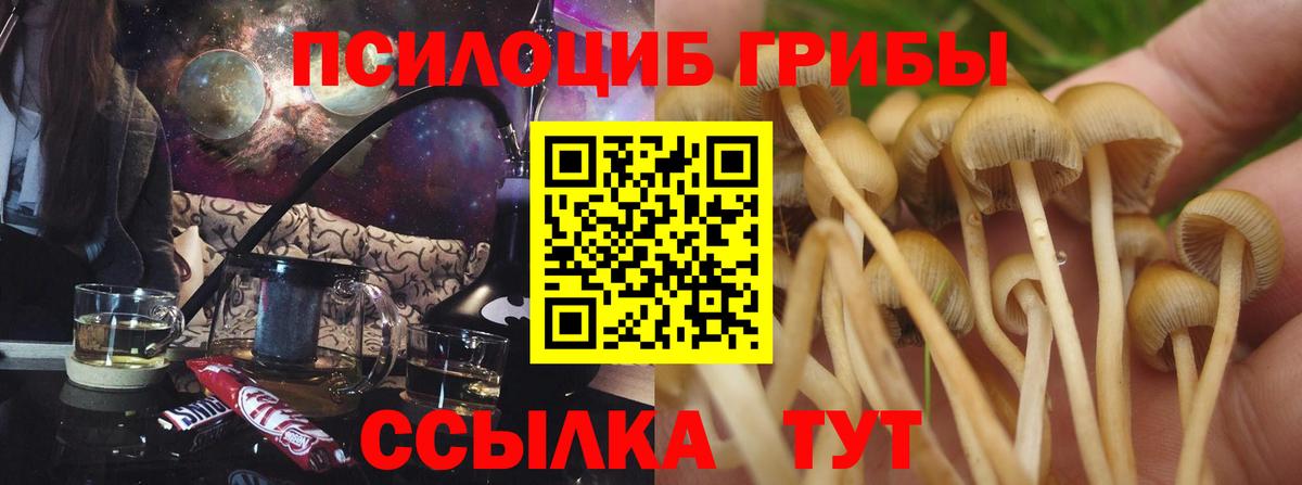 Рассказово  Псилоцибиновые грибы прущие грибы  Вход с VPN  Галлюциногенные грибы ЛСД 